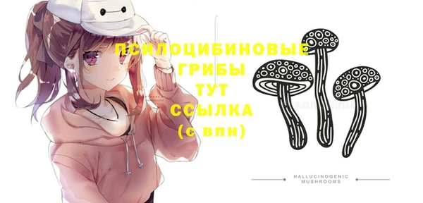 ешки Балахна
