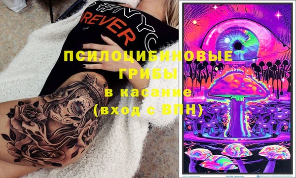 ешки Балахна