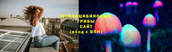 твердый Аркадак