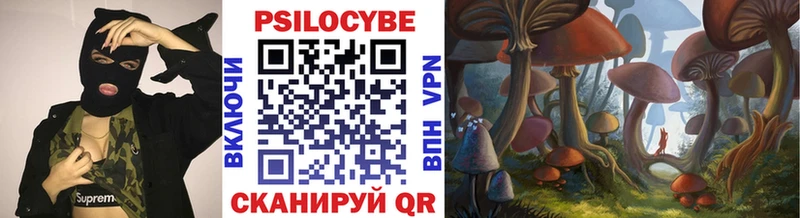Галлюциногенные грибы MAGIC MUSHROOMS  Купить закладки  Мензелинск 